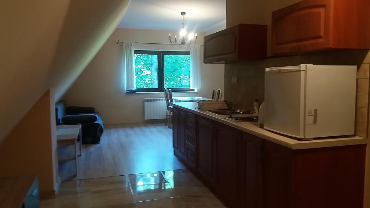 Noclegi W Centrum Sienkiewicza Zakopane Esterno foto